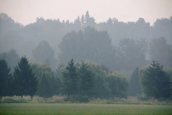 空气质素 — 图库照片