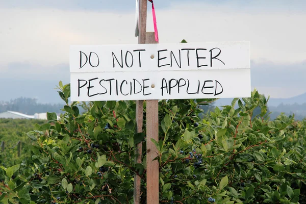 Crops Sprayed with Pesticide — Stock Photo, Image