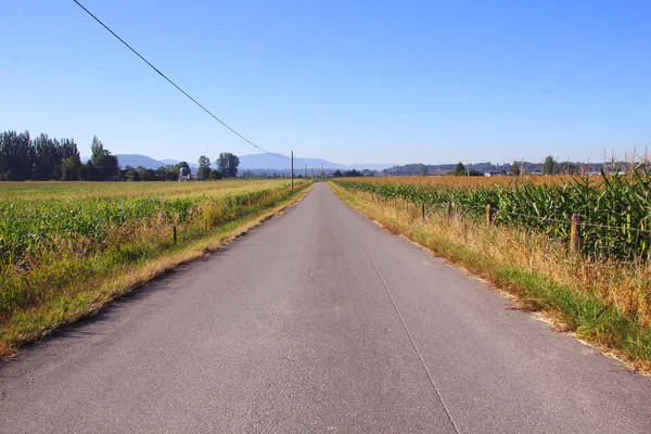 Small Country Road — Stock Photo, Image