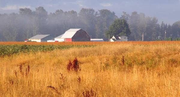 Washington-Farmlandschaft — Stockfoto