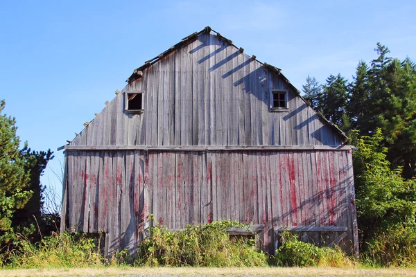 Algblomning i Washington State — Stockfoto