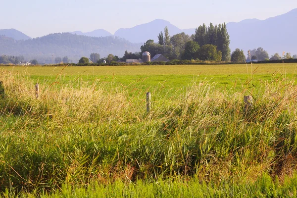 Terreni agricoli — Foto Stock