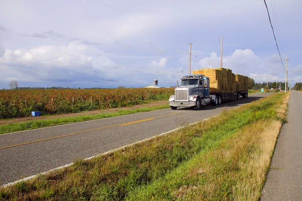 Delivering the Hay — Stock Photo, Image