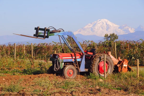 Mount Baker and Old Tractor — Stock Photo, Image