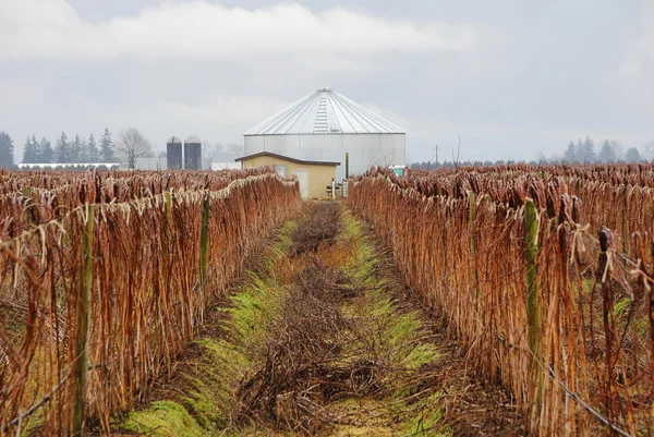 Mała farma stacji pomp — Zdjęcie stockowe