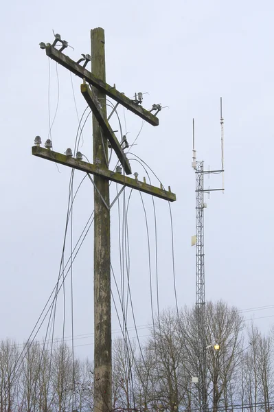 Two forms of new and old communication systems — Stock Photo, Image