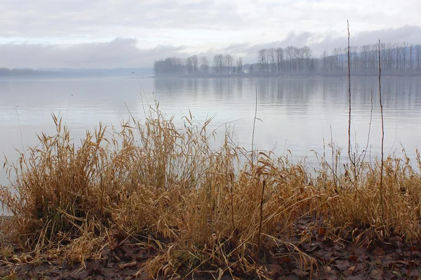 Zima nad rzeką Fraser — Zdjęcie stockowe