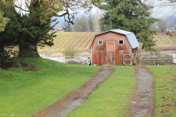 Road Leads to Small Hobby Barn — Stock Photo, Image