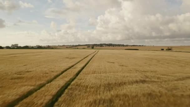 Letecký snímek nad nekonečným horizontem pole a několika domy z dálky — Stock video
