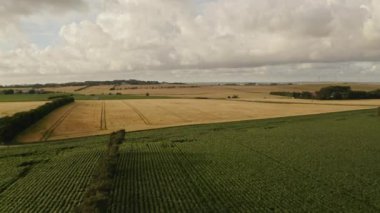 Narrow Caddesi 'nden geçen bir araba parlaklığı ile Tarlaların üzerinde süzülmek