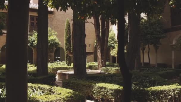 Jardim em um pátio da Alhambra — Vídeo de Stock