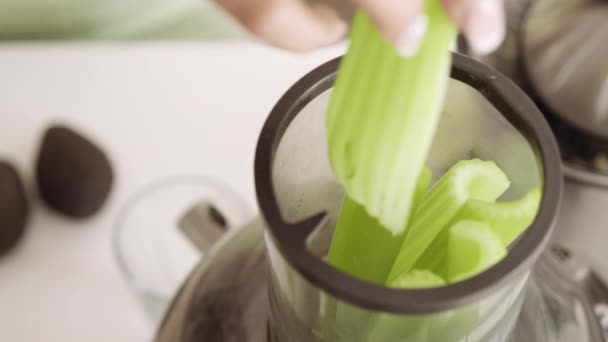 Celery Stalks Into Kitchen Blender — Stok Video