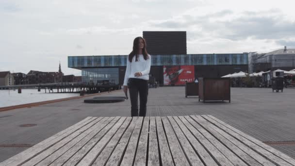 Ung student närmar sig bänken tillsammans med Docks i Danmark — Stockvideo