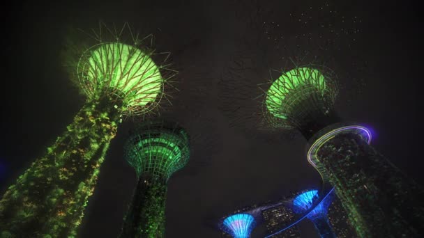 Singapur 'daki Supertree Grove Ağaçlarının Işıkgösterisi — Stok video