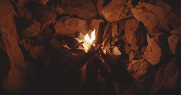 Hand Holding Match To Kindling — Stock Video