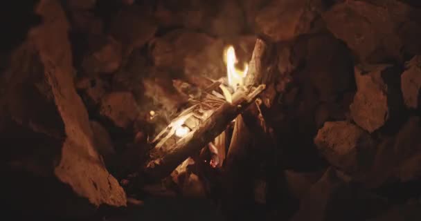 Campfire Flames Burning Wood Amongst Rocks — Stock Video