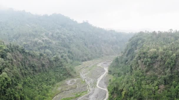 Drone sul fiume intrecciato nella gola della foresta densa — Video Stock