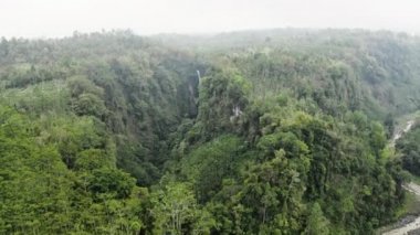 Tumpak Şelaleleri 'nin Orman ve Pusları Üzerinde İnsansız Hava Aracı