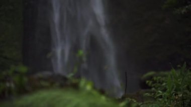 Bitkiler ve Hava Terjun Kabut Pelangi Şelalesi