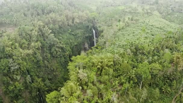 Drone Over River I Skov Til Tumpak Sewu Vandfald – Stock-video