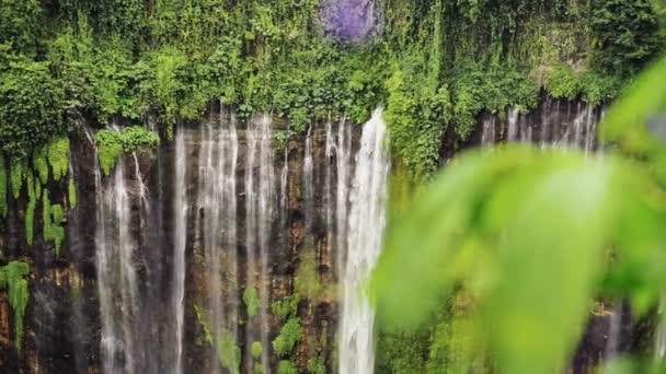 Tumpak Sewu Vattenfall Även känd som Coban Sewu — Stockvideo