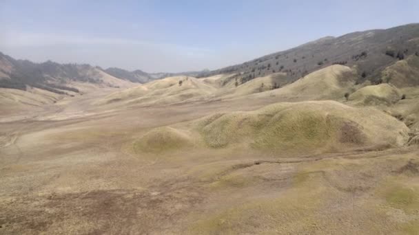 Drone de montanhas e árvore em bromo Tengger Semeru — Vídeo de Stock