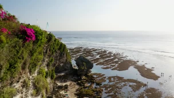 Vuelo de drones sobre acantilados y algas marinas en la playa de Bali — Vídeos de Stock