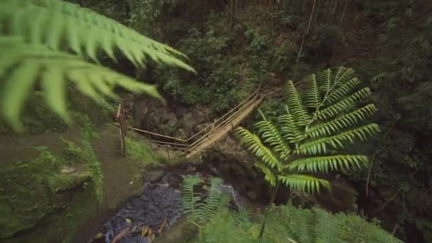 Bridge Over Ravine By Stream In Ubud — Stock video