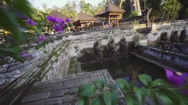 Ubud Geld Waldteich und Gebäude — Stockvideo