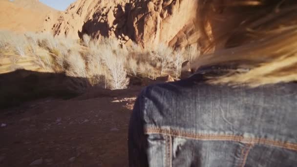 Turista en el desierto Paisaje de rocas y árboles blancos — Vídeos de Stock