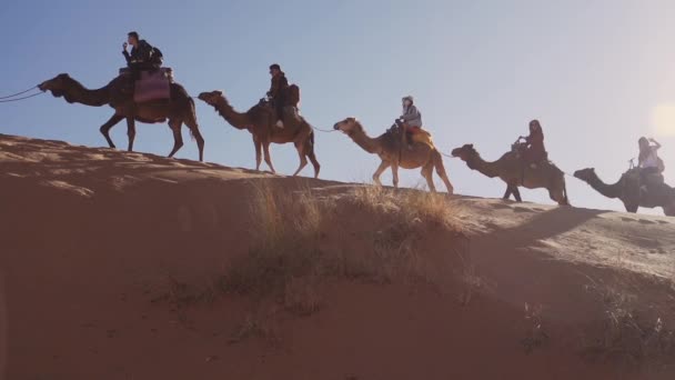 Camellos de montar turista sobre dunas de arena bajo el sol caliente — Vídeos de Stock