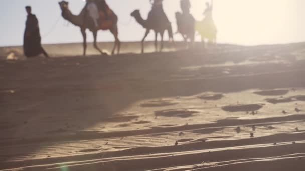 Tourists Riding Camels Under Bright Sun In Desert — Stock Video