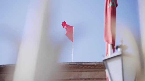 Red Moroccan Flag Blowing In Wind — Stock Video