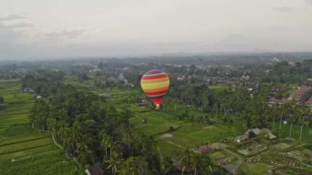 Dron z balonem na gorące powietrze nad polami — Wideo stockowe