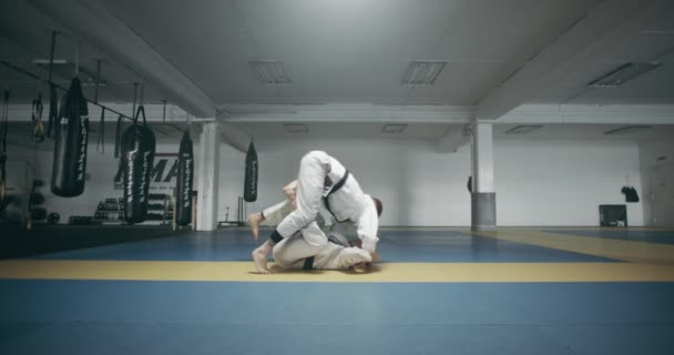 女性対男性との混合武道の訓練 — ストック動画