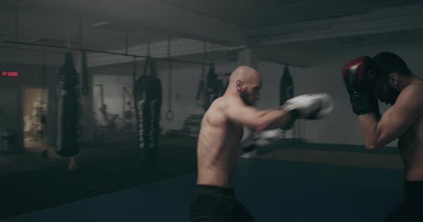 Kickboxing Mma μαχητές σε προπόνηση συνεδρία — Αρχείο Βίντεο