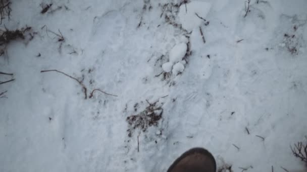 雪の上を歩くブーツのハイカー — ストック動画