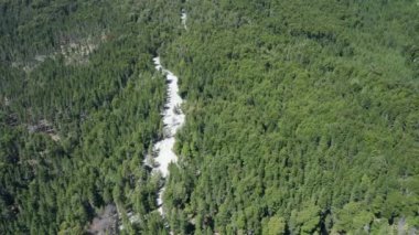 Patagonya 'daki Yeşil Ormanlar Üzerinde İnsansız Hava Aracı