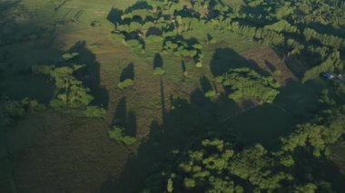 İnsansız hava aracı ağaçların ve manzaranın üzerine eğiliyor