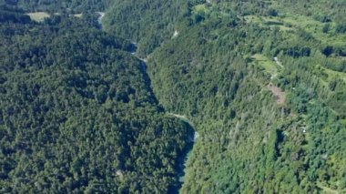 Patagonya 'daki Yoğun Orman İHA' sı