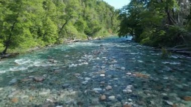 Akan Ağacın Üzerinde İHA Uçuşu