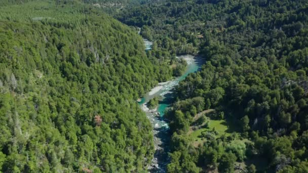 Drone sobre floresta exuberante com córrego — Vídeo de Stock