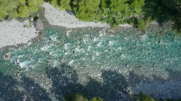 강물에서 바위 위에서 노는 드론 — 비디오