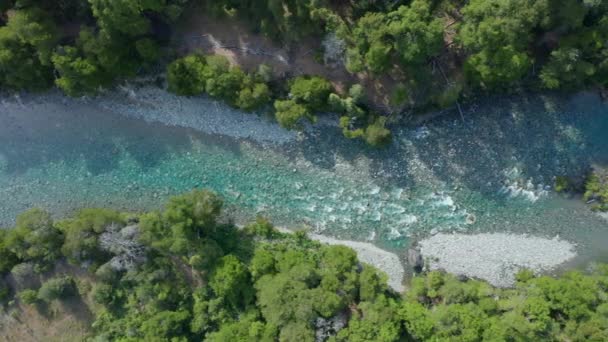 Lot dronem nad przepływającym strumieniem w lesie — Wideo stockowe