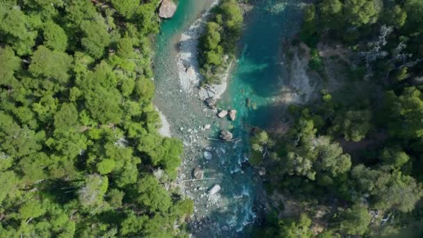 Voo de drone sobre fluxo de fluxo na floresta — Vídeo de Stock