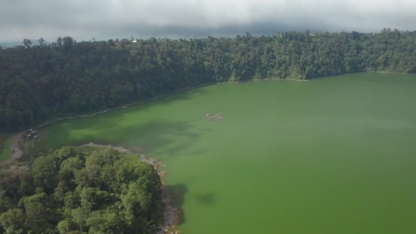 緑の湖の上に下に傾けるドローン — ストック動画
