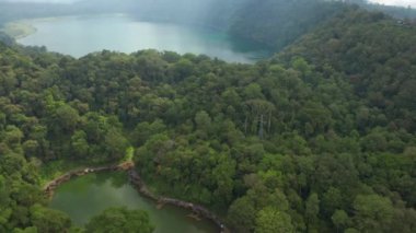 İnsansız Hava Aracı Uçuşu Orman Kapsamlı Manzara