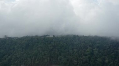 İHA Göl 'den Yeşil Ormana