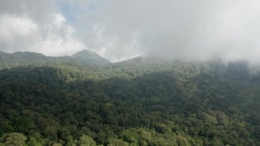 Yuvarlanan Orman ve Tepelerin Üzerinde İnsansız Hava Aracı