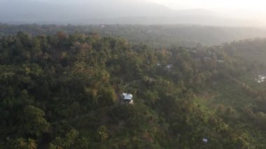 Ağaçların puslu arazisinde İHA uçuşu